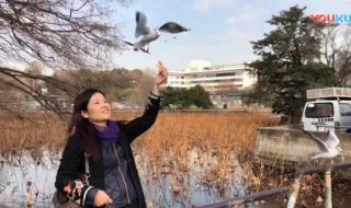 武当剑49式教学 武当剑49式教学